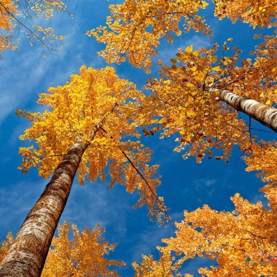 1920 x 1080 HD Wallpapers 1724